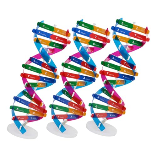 HONMEET 3 Stück DNA Modell Bausatz Pädagogisches Gen Doppelhelix Lernspielzeug für Biologieunterricht DIY Montage Genetische Struktur Naturwissenschaftliches Klassenzimmer Lernhilfe HONMEET 3 Stück DNA Modell Bausatz Pädagogisches Gen Doppelhelix Lernspielzeug für Biologieunterricht DIY Montage Genetische Struktur Naturwissenschaftliches Klassenzimmer Lernhilfe von HONMEET