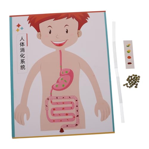 HONMEET 4 Sätze Teiliges DIY Modell für Interaktives Pädagogisches Lernspielzeug als Lehrmittel für Schule und Stem Bastelmaterial für Frühkindliche Wissenschaftserfahrung HONMEET 4 Sätze Teiliges DIY Modell für Interaktives Pädagogisches Lernspielzeug als Lehrmittel für Schule und Stem Bastelmaterial für Frühkindliche Wissenschaftserfahrung von HONMEET