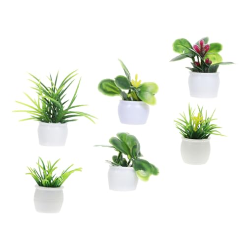 HONMEET 6 Stück Miniatur Pflanzenmodell Set Dekorative Kunststoff Pflanzenfiguren Für Kreative Mini Hausdekoration Ideal Für Puppenhäuser Und Terrarien Inklusive Pilz Deko von HONMEET