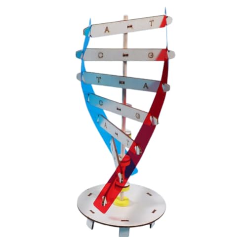 HONMEET DNA Doppelhelix Modell Bausatz für Wissenschaftliches Lernspielzeug zur Genetik Handmontage Bildungsset Feinmotorik Beobachtung und Analytischem Denken Klassenzimmer Dekoration HONMEET DNA Doppelhelix Modell Bausatz für Wissenschaftliches Lernspielzeug zur Genetik Handmontage Bildungsset Feinmotorik Beobachtung und Analytischem Denken Klassenzimmer Dekoration von HONMEET