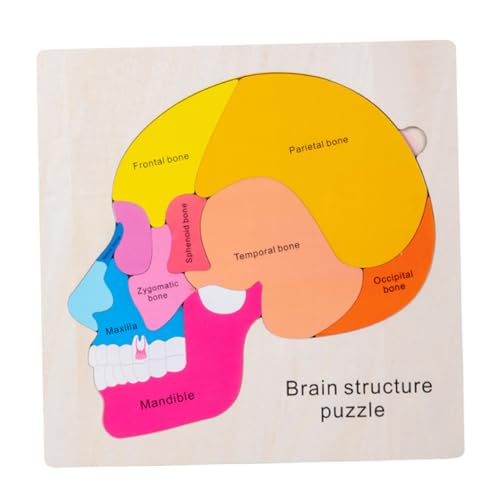 HONMEET Holz Puzzlespiel Gehirnstruktur Lernspielzeug für Ab Jahren Pädagogisches Montessori Kognitiven Entwicklung und Feinmotorik Mehrschichtiges Gehirnpuzzle HONMEET Holz Puzzlespiel Gehirnstruktur Lernspielzeug für Ab Jahren Pädagogisches Montessori Kognitiven Entwicklung und Feinmotorik Mehrschichtiges Gehirnpuzzle von HONMEET