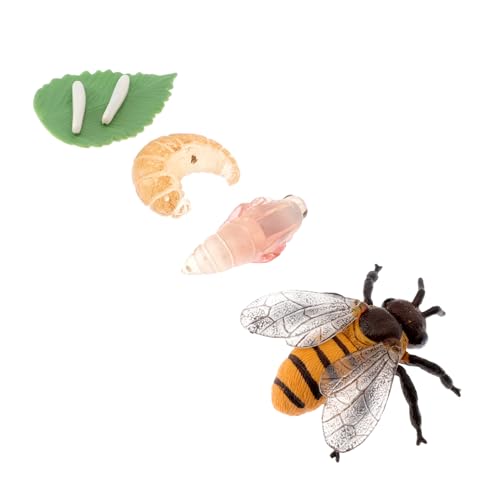 HONMEET Kinderpädagogisches Lernspielzeug Kleine Hummermodellfigur mit Realistischem Lebenszyklus Detailreiche Miniatur Fördert Naturverständnis und Kreativität Kognitives Insekten HONMEET Kinderpädagogisches Lernspielzeug Kleine Hummermodellfigur mit Realistischem Lebenszyklus Detailreiche Miniatur Fördert Naturverständnis und Kreativität Kognitives Insekten von HONMEET