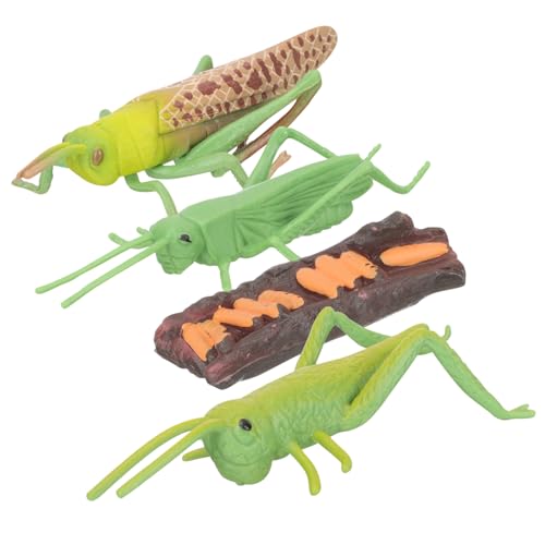 HONMEET Tiere Modell Lebenszyklus Figur für Montessori Frühes Lernspielzeug Realistische Wachstumsphasen Pädagogisch Langlebig Jungen Mädchen HONMEET Tiere Modell Lebenszyklus Figur für Montessori Frühes Lernspielzeug Realistische Wachstumsphasen Pädagogisch Langlebig Jungen Mädchen von HONMEET