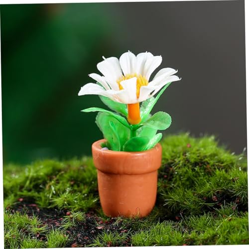 HOODANCOS 10 Stück Teiliges Miniatur Resin Bonsai Kleine Künstliche Topfpflanzen Wetterfeste Mini Pflanzendekoration für Puppenhaus Micro Landschaft Wohnraumfreundlich und Pflegeleicht HOODANCOS 10 Stück Teiliges Miniatur Resin Bonsai Kleine Künstliche Topfpflanzen Wetterfeste Mini Pflanzendekoration für Puppenhaus Micro Landschaft Wohnraumfreundlich und Pflegeleicht von HOODANCOS