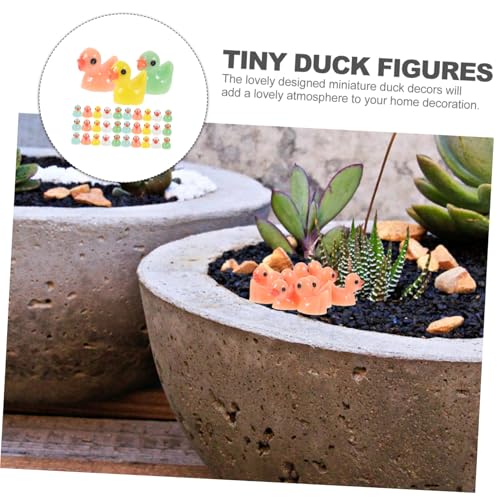HOODANCOS 50 Stück Mini Resin Enten Figuren Bunte Kleine Miniatur Deko für Puppenhaus Mooslandschaft Aquarien Bastelbedarf DIY Zubehör HOODANCOS 50 Stück Mini Resin Enten Figuren Bunte Kleine Miniatur Deko für Puppenhaus Mooslandschaft Aquarien Bastelbedarf DIY Zubehör von HOODANCOS