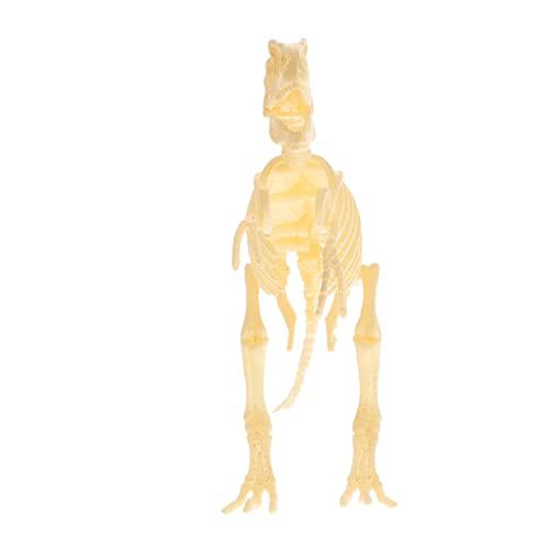 HOOTNEE 1 Satz Dinosaurier-skelettmodell Dinosaurier Skelette Spielzeug Dinosaurierfigur Zusammenbauen Dinosaurier-Spielzeug Skelettfigur Dinosaurier-Figur Dinosaurierknochen PVC von HOOTNEE