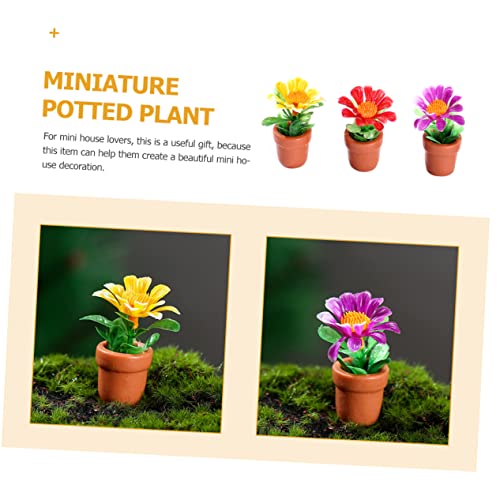 HOOTNEE 10 Stück Teiliges Mini Topfpflanzen Künstliche Miniatur Bonsai aus Widerstandsfähigem Harz Wasserfest und Farbecht für Miniaturgärten Puppenhäuser und Mikro Landschaften HOOTNEE 10 Stück Teiliges Mini Topfpflanzen Künstliche Miniatur Bonsai aus Widerstandsfähigem Harz Wasserfest und Farbecht für Miniaturgärten Puppenhäuser und Mikro Landschaften von HOOTNEE