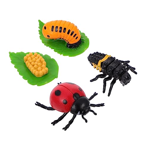 HOOTNEE 4 Stück Lebenszyklus Figuren Marienkäfer Wachstumszyklus Lernspielzeug für Teiliges aus Hochwertigem Kunststoff Pädagogisches Insektenspielzeug für Rollenspiele und Dekoration HOOTNEE 4 Stück Lebenszyklus Figuren Marienkäfer Wachstumszyklus Lernspielzeug für Teiliges aus Hochwertigem Kunststoff Pädagogisches Insektenspielzeug für Rollenspiele und Dekoration von HOOTNEE