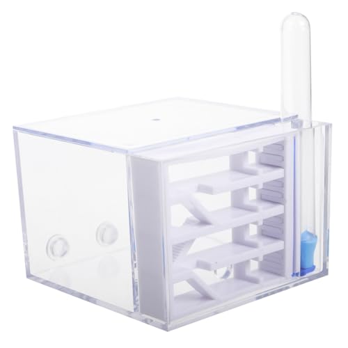 HOOTNEE Ameisenfarm Schloss mit Integriertem Nest und Acrylröhren Interaktives Beobachtungsset für Erwachsene Pädagogisches Lernspielzeug zur Entwicklung von Beobachtungsfähigkeiten HOOTNEE Ameisenfarm Schloss mit Integriertem Nest und Acrylröhren Interaktives Beobachtungsset für Erwachsene Pädagogisches Lernspielzeug zur Entwicklung von Beobachtungsfähigkeiten von HOOTNEE