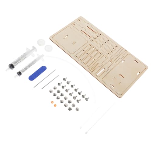 HOOTNEE Holzernes Hydraulisches Aufzugsmodell DIY Montage-Puzzle-Spielzeug Für Junge Mädchen Wissenschaftsbausatz Lernspielzeug Technikbausatz Hydraulik-hebevorrichtung Bildungs-lernwerkze HOOTNEE Holzernes Hydraulisches Aufzugsmodell DIY Montage-Puzzle-Spielzeug Für Junge Mädchen Wissenschaftsbausatz Lernspielzeug Technikbausatz Hydraulik-hebevorrichtung Bildungs-lernwerkze von HOOTNEE