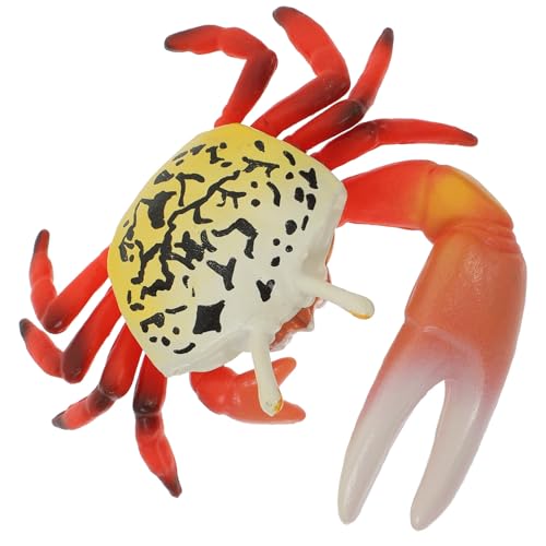 HOOTNEE Realistisches Krabbenmodell Simulation Krebs Figur Lernspielzeug Meeresdekor Aquarium Ornament Strandspielzeug für Frühe Bildung und Wohnaccessoire HOOTNEE Realistisches Krabbenmodell Simulation Krebs Figur Lernspielzeug Meeresdekor Aquarium Ornament Strandspielzeug für Frühe Bildung und Wohnaccessoire von HOOTNEE