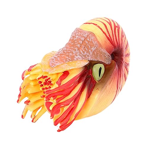 HOOTNEE Realistisches Nautilus Modell Meeresbewohner Bunte Deko Aquarium Lernspielzeug Naturgetreue Nachbildung Frühkindliche Bildung HOOTNEE Realistisches Nautilus Modell Meeresbewohner Bunte Deko Aquarium Lernspielzeug Naturgetreue Nachbildung Frühkindliche Bildung von HOOTNEE