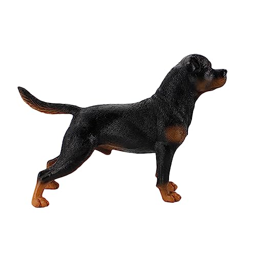 HOOTNEE Lifelike Rottweiler Figurine Realistische Hundestatue Für Dog Cognitive Model Dekoratives Haustier Und Lernhilfe Für Zuhause PL127 703 von HOOTNEE