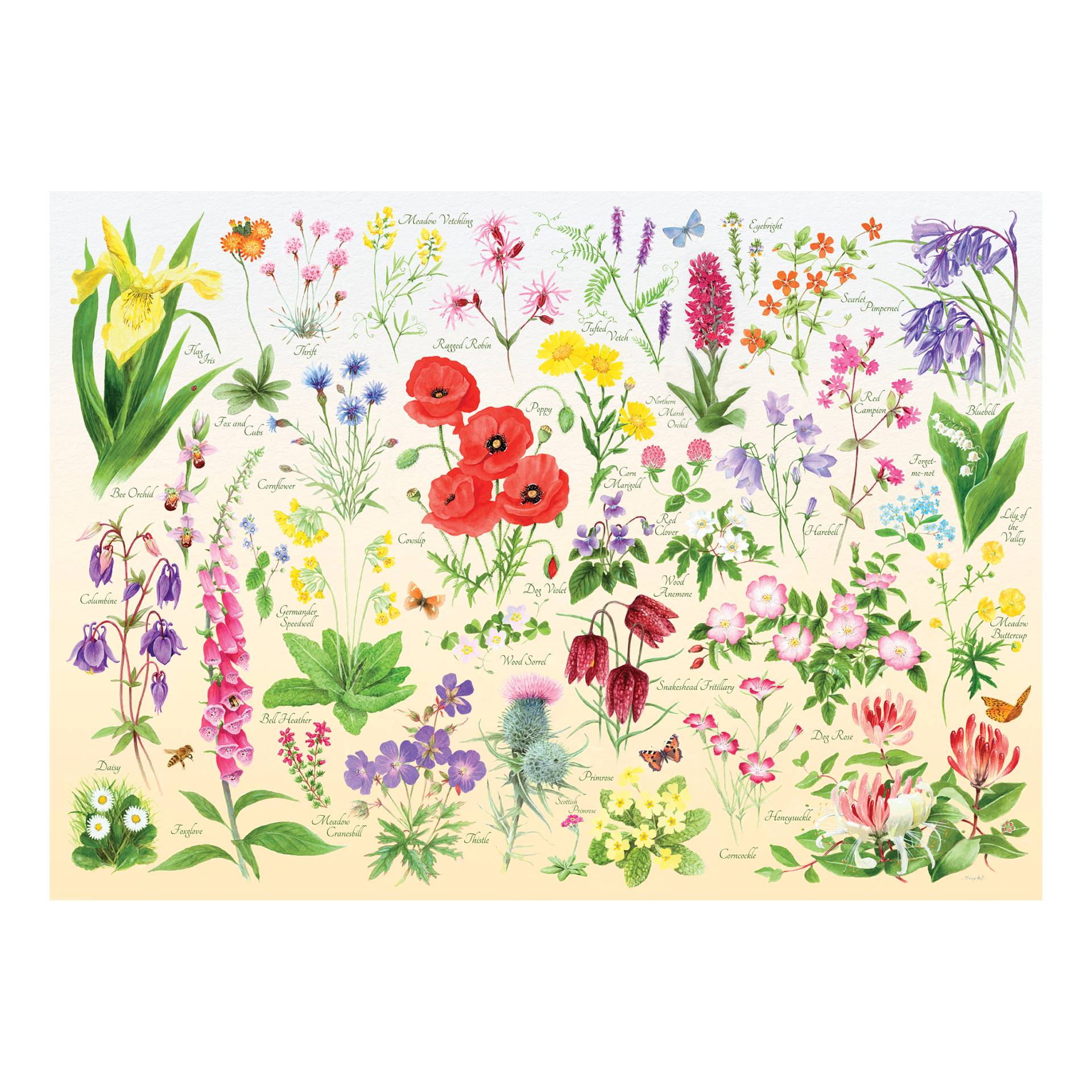 HOP - House of Puzzles Wildblumen 1000 Teile Puzzle House-Of-Puzzles-HP0705 HOP - House of Puzzles Wildblumen 1000 Teile Puzzle House-Of-Puzzles-HP0705 von HOP - House of Puzzles