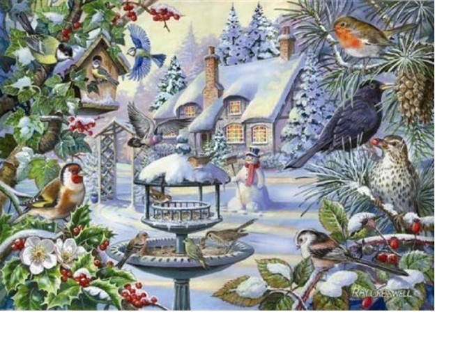 HOP - House of Puzzles XXL Teile - Winter Birds 500 Teile Puzzle House-of-Puzzles-HP0233 HOP - House of Puzzles XXL Teile - Winter Birds 500 Teile Puzzle House-of-Puzzles-HP0233 von HOP - House of Puzzles