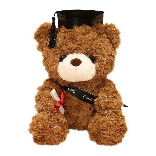 HOVCEH Teddybär Plüschtier Klein, Examensbär, Teddy Plüschbär mit Doktorhut, Bachelor Geschenk, Bestandene Prüfung Geschenk,Geschenke zum Bachelor Abschluss von HOVCEH