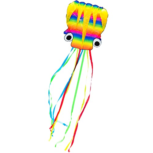 HQ 106901 - Rainbow Octopus L, Kinderdrachen Einleiner, ab 8 Jahren, 480x120cm, inkl. 35kp Polyesterschnur 40m auf Spule, 2-5 Beaufort von HQ HIGH QUALITY DESIGN