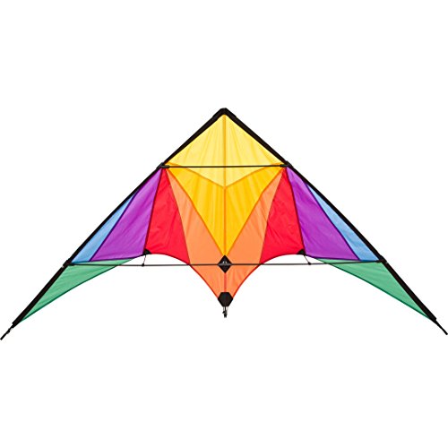 HQ Design Ecoline - Trigger Lenkdrachen Zweileiner Flugdrachen für Erwachsene und Kinder ab 14 Jahren, 90x175cm, inkl. 40kp Polyesterschnüre 2x25m auf Spulen, 2-6 Beaufort (Rainbow) von HQ HIGH QUALITY DESIGN