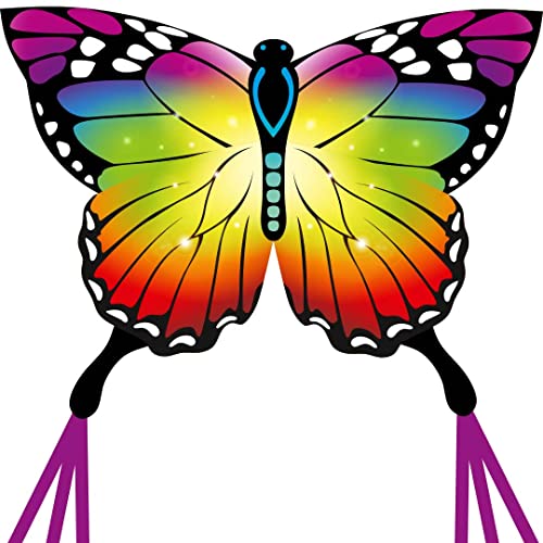 HQ Ecoline Butterfly Kite Rainbow Kinderdrachen Flugdrachen Einleiner Drachen steigen Lassen, wenig Wind ab 5 Jahren, 95x120cm und 1.9m Drachenschwanz, inkl. 17kp Polyesterschnur 25m auf Griff von HQ HIGH QUALITY DESIGN