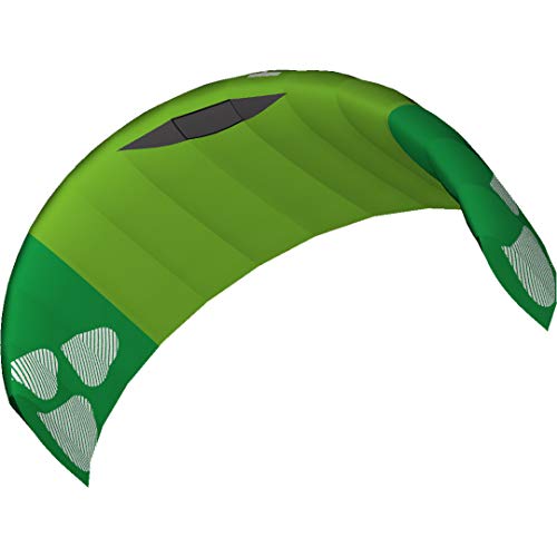 HQ4 117577 - Hydra 350 Green, Dreileiner Lenkmatte Trainerkite, Spannweite: 354cm, inkl. 200kp Dyneemaschnüre 3x20m auf 3-line Controlbar 50cm, 3-18 Knoten von HQ HIGH QUALITY DESIGN