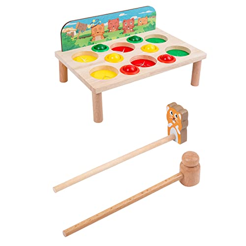 HRODA Sensorische Pädagogische Spielsets Hand Auge Koordination Üben Babyspielzeug Hämmerspielzeug von HRODA