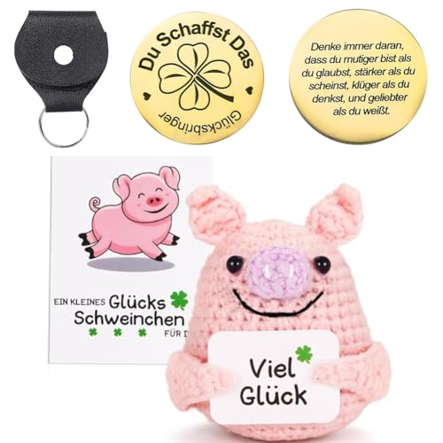 HTGWCG Pocket Hug Positive Schwein, Strickwolle Schwein Puppe mit Energiekarte,Positive Kartoffel-Ersatz, Mutmacher Glücksbringer Prüfung Geschenk für Beste Freund ﻿ ﻿ von HTGWCG