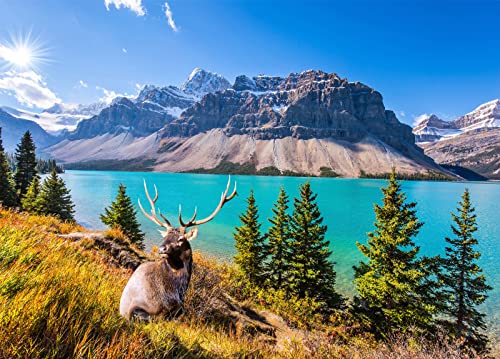 HUADADA 1000 Teile Puzzle für Erwachsene - Lake of the Canadian Rockies von HUADADA