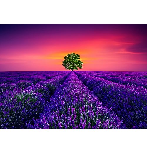 Puzzle 1000 Teile,Puzzle Erwachsene, Impossible Puzzle, Geschicklichkeitsspiel für Die Ganze Familie,Puzzle Farbenfrohes Legespiel,Home Dekoration Puzzle -Provence-Lavendel von HUADADA