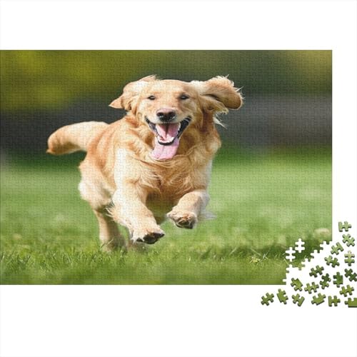 Golden Retriever 1000 Teile Puzzle, Puzzles Für Erwachsene, 1000 Teile Puzzlespiel Für Jugendliche & Erwachsene Puzzlespiel Puzzel 1000pcs (75x50cm) von HUHONGQI