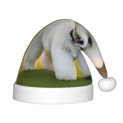 HUIKGIER Bichon Frisé-Hund auf dem Gras, Weihnachtsmannmütze, unisex, Weihnachts-Stirnbänder für den Außenbereich, Weihnachtsfeier, Geschenk von HUIKGIER