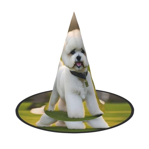 HUIKGIER Bichon Frisé Hund auf dem Gras Druck Karneval Halloween Hexenhut Faltbarer Hut für Damen Herren Party Dekorationen Cosplay von HUIKGIER