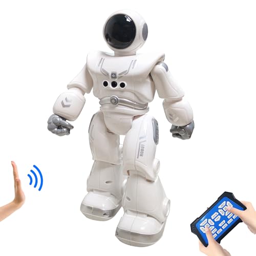 HUSAN Fernbedienungsroboter für Kinder, intelligenter programmierbarer Roboter mit Infrarot-Controller-Spielzeug, Tanzen, Singen, Moonwalking und LED-Augen, Gestenerkennungs-Roboter-Kit (Grau) von HUSAN