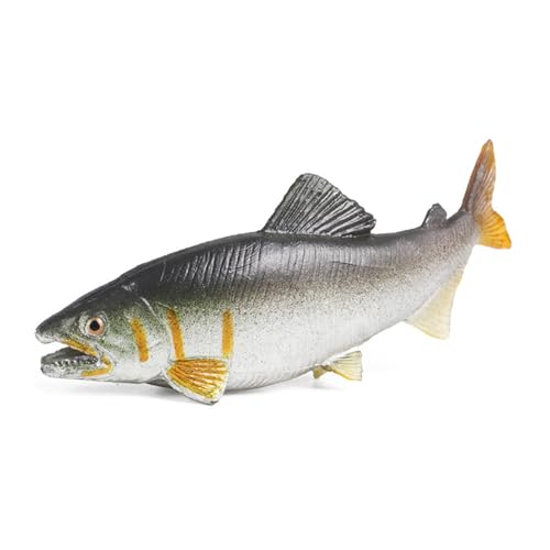 HVRFJXI Kunststoff Fisch Modell Spielzeug Realistische Fisch Statue Ornament Realistische Tiere Aquarium Schöne Fische Landschaft Liefert von HVRFJXI