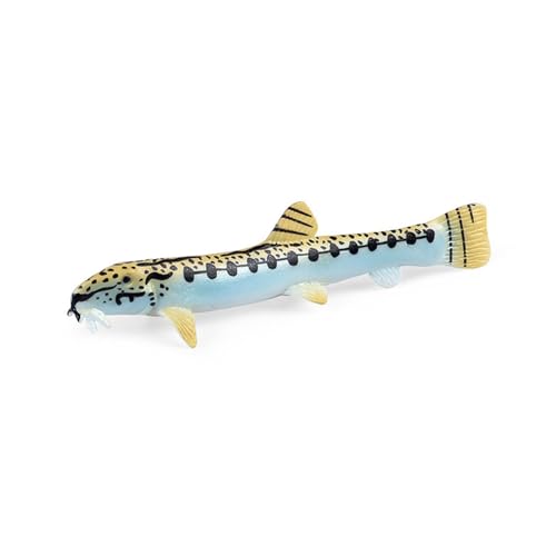 HVRFJXI Kunststoff Fisch Modell Spielzeug Realistische Fisch Statue Ornament Realistische Tiere Aquarium Schöne Fische Landschaft Liefert von HVRFJXI