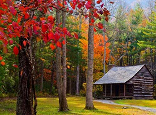 HXXCB - 1000 Teile Spiele Puzzle -Blockhaus Wald Herbst- Erwachsene Kinder Lernspielzeug Puzzle Weihnachtsdekoration Geschenk Classic Puzzle von HXXCB