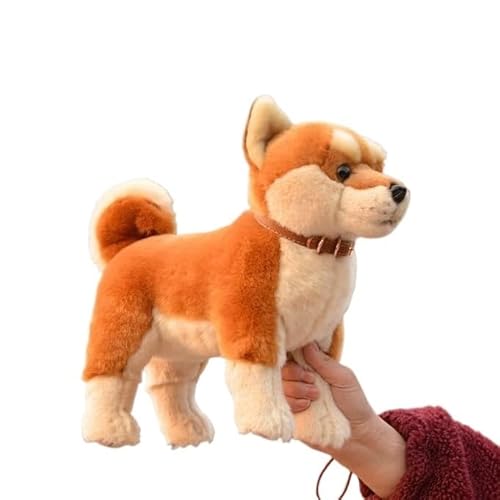 HYQOUKLR Lebensechtes Shiba Inu-Stofftier, Akita-Hund, Plüschtierwelpe. Es kann stabil auf dem Tisch Stehen und ist etwa 30 cm groß. von HYQOUKLR