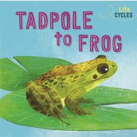 Life Cycles: From Tadpole to Frog von Hachette Books Ireland