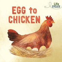 Life Cycles: Egg to Chicken von Wayland