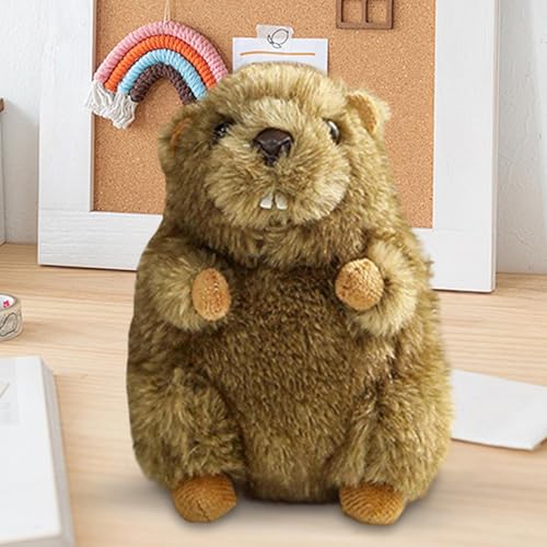 Hailerio Plüschtiere | Plüschtier - Hautfreundliche Kissenfigur Kuschelige Puppe Für Kleinkinder Mädchen Kinder Geburtstag Valentinstag Weihnachten Hailerio Plüschtiere | Plüschtier - Hautfreundliche Kissenfigur Kuschelige Puppe Für Kleinkinder Mädchen Kinder Geburtstag Valentinstag Weihnachten von Hailerio