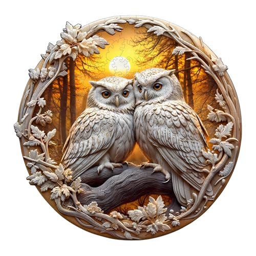 Holzpuzzle Erwachsene und Kinder, 3D owl -3 Kreisförmige Einzigartige Puzzle, Holz Puzzle Erwachsene Mit Geschenkbox Aus Holz (S-100 Stück) von Hakumata