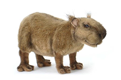 5128 - Hansa Toy - Capybara (Wasserschwein) 31 cm von Hansa Toy