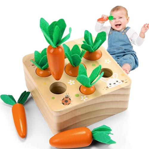 Haoutdory Montessori Holzspielzeug ab 1 Jahr,Sortierspiel Karottenernte,Baby Motorikspielzeug für 6-12 Monate Jungen Mädchen,Lernspielzeug für Kleinkinder.Geschenk für Jungen & Mädchen Haoutdory Montessori Holzspielzeug ab 1 Jahr,Sortierspiel Karottenernte,Baby Motorikspielzeug für 6-12 Monate Jungen Mädchen,Lernspielzeug für Kleinkinder.Geschenk für Jungen & Mädchen von Haoutdory