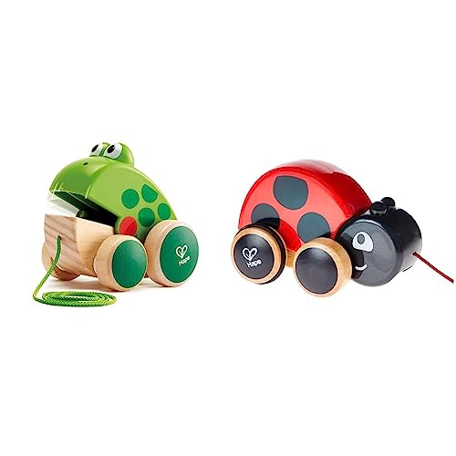 Hape Nachziehfrosch Fridolin von Hape | Holzfrosch Fliegen fressendes Nachzieh-Spielzeug für Kleinkinder, leuchtende Farben & Nachziehkäfer Marie aus Holz, Ziehspielzeug für Kinder ab 12 Monaten von Hape