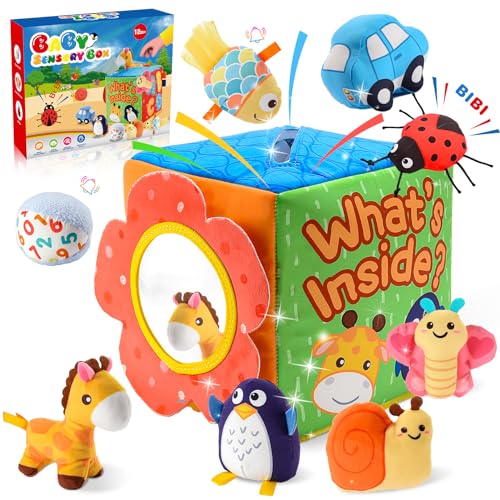 HappyGoLucky Baby Spielzeug, Spielzeug ab 6 7 8 9 Monate Montessori Spielzeug ab 6 Monate Sensorik Spielzeug Baby Geschenk Baby Montessori Box von HappyGoLucky