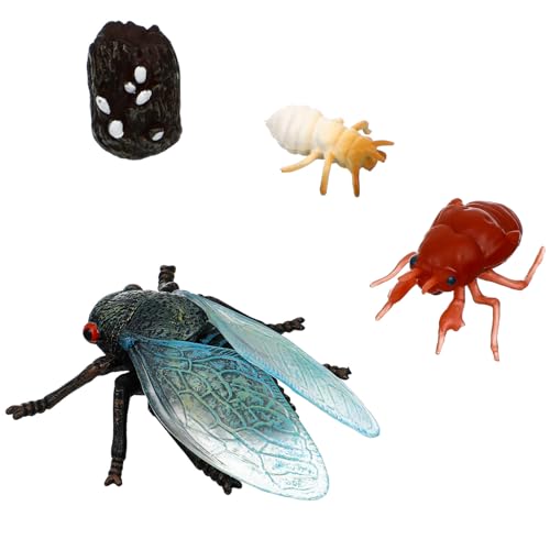 Happyyami Zikade-Insekten-Tierfiguren-Spielzeug 1 Set Zikade-Lebenszyklus-Set Kunststoff- -Figur Gefälschtes Zikade-Modell Simuliertes Fliegen-Witzspielzeug Zum Lernen Von von Happyyami