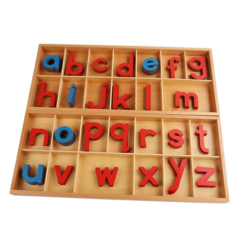 Harilla Bewegliches Alphabet mit Box Rechtschreibung Lernspielzeug Interaktive Lernmaterialien Alphabet Sprachobjekte zum Schreiben von Rechtschreibung von Harilla