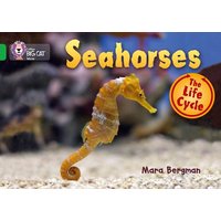 Seahorses von HarperCollins