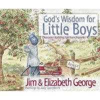 God's Wisdom for Little Boys von Harvest House Publishers