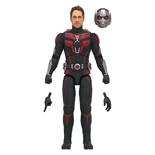 Marvel Hasbro Legends Series Ant-Man, Ant-Man and The Wasp: Quantumania Legends Action-Figur, 15 cm von Marvel