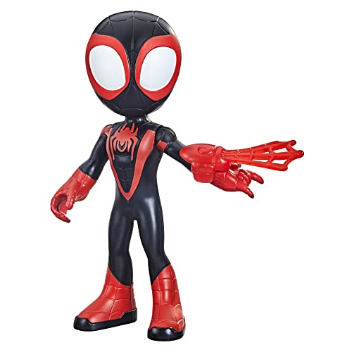 Spidey and his Amazing Friends Spider-Man Hasbro Marvel Supersized Miles Morales Action Figure, Preschool Toy for Age 3 and Up von Hasbro